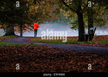 Regents Park, London, UK. 4. November 2014. UK-Wetter. Eine Läufer am frühen Morgen macht seinen Weg durch den herbstlichen Regents Park. Bildnachweis: Paul Davey/Alamy Live-Nachrichten Stockfoto