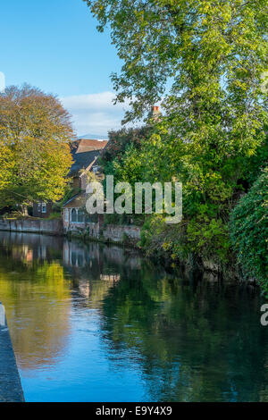 Salisbury, Wiltshire, UK. 4. November 2014. UK-Wetter. Herrliches Wetter in Salisbury nach einem kalten frostigen start Credit: Paul Chambers/Alamy Live News Stockfoto