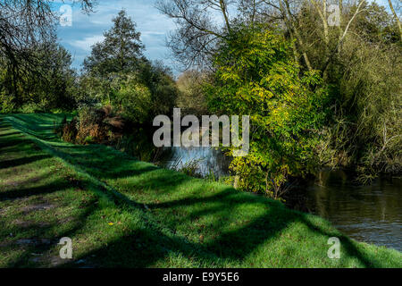 Salisbury, Wiltshire, UK. 4. November 2014. UK-Wetter. Herrliches Wetter in Salisbury nach einem kalten frostigen start Credit: Paul Chambers/Alamy Live News Stockfoto