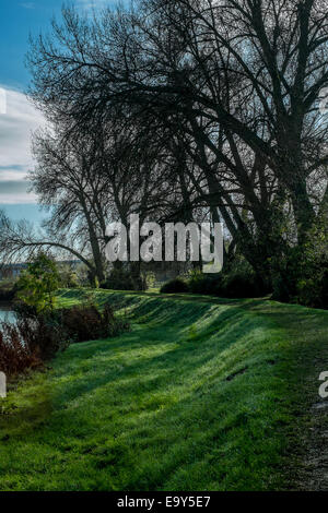 Salisbury, Wiltshire, UK. 4. November 2014. UK-Wetter. Herrliches Wetter in Salisbury nach einem kalten frostigen start Credit: Paul Chambers/Alamy Live News Stockfoto