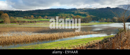 Überfluteten Ackerland entlang des Flusses Wye am Bigsweir auf der Gloucestershire, Monmouthshire Grenze. Stockfoto