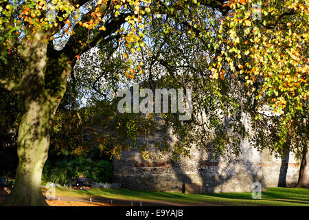 Eboracum im Herbst, Museum Gärten, York, North Yorkshire, England Stockfoto