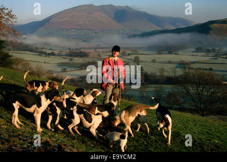 Das Blencathra-Pack für Füchse in Cumbria mit fiel Jagdhunde in der Seenplatte, Cumbria, England gejagt. Stockfoto