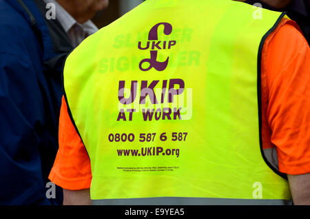 Die UKIP Aktionstag in Rochester, Kent, 4. Oktober 2014. Wahlkämpfer in hi-Vis-Jacke Stockfoto