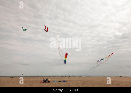 Drachenfliegen vom Strand in Valencia, Spanien. Stockfoto