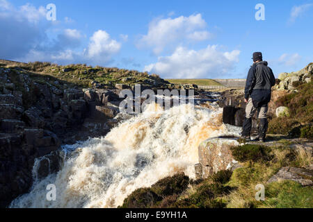 Walker, genießen das Schauspiel der Kessel Schnauze Wasserfall, Fluss Tees Teesdale County Durham UK Stockfoto