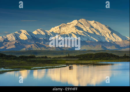 Silhouette, Alaska, Elch, Mt Mckinley Stockfoto