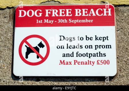 Schild mit der Aufschrift "Dog Free Beach", aber bitte halten Sie sie dort auf, führt England UK Stockfoto