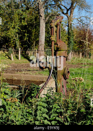 Eine alte Wasserpumpe zur Verfügung gestellt, die einst die einzige Wasserversorgung bis zum Weiler La Gouaudiere in der südlichen Normandie, Frankreich Stockfoto