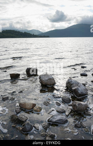 Ein Landschaftsbild der Ufer von Loch Lomond in den schottischen Highlands Scotland UK zeigt Felsen im Vordergrund. Stockfoto