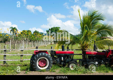 Dominikanische Republik, Osten, Traktor an der Rancho Capote westlich von Hato Major