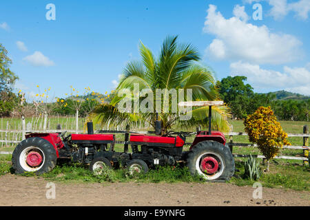 Dominikanische Republik, Osten, Traktor in der rancho Capote westlich von hato Major