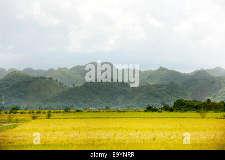 Dominikanische Republik, Osten, Autopista del Nordeste von Nagua Nach Santo Domingo, Hügel des Nationalparks Los Haitises Stockfoto