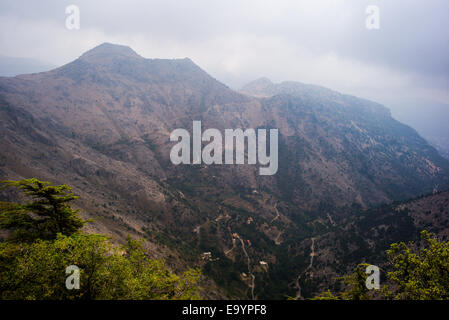 Tannourine Tal, Batroun Bezirk, Libanon. Stockfoto