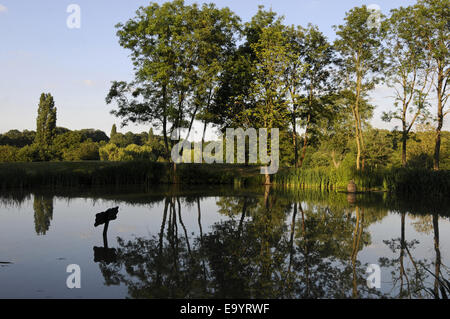 Blick über den Teich auf das 18. Loch mit Reflexionen auf der 12. Fairway West Course Sundridge Park Golf Club Bromley Kent Engla Stockfoto