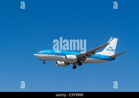 KLM Boeing737-700 Flugzeug, PH-BGT, namens Blauwe Kiekendief auf ihren Ansatz für die Landung in London Heathrow, England, Großbritannien Stockfoto