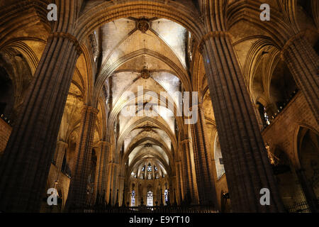 Spanien. Katalonien. Kathedrale von Barcelona. Im Inneren. 13. Jahrhundert. Stockfoto