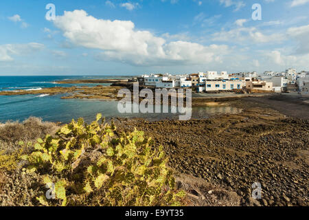 Feigenkaktus & den alten Fischerhafen in diesem Dorf an der NW-Küste; El Cotillo, Fuerteventura, Kanarische Inseln, Spanien Stockfoto