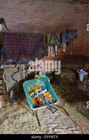 Werkzeuge und eine Schubkarre gefüllt mit Bedmax Späne in einem Stall Stockfoto