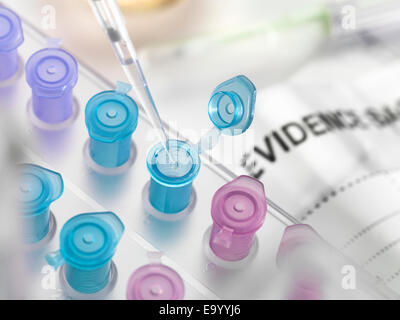 Pipettieren DNA-Probe von Tatort in Fläschchen für forensische Tests im Labor gesammelt Stockfoto