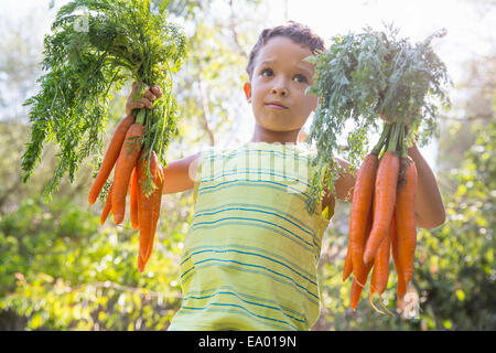 Porträt eines jungen im Garten hält Bund Karotten Stockfoto