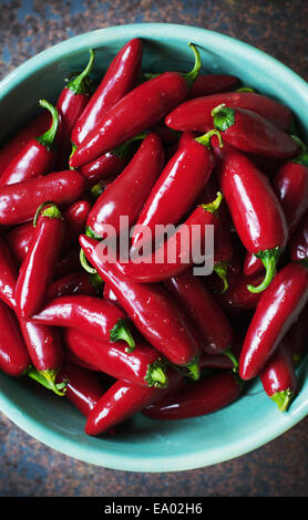 Frisch gepflückt Jalepeno Chili Paprika in eine Schüssel geben Stockfoto