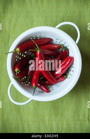 Frisch gepflückt Jalepeno Chili Paprika in eine Schüssel geben Stockfoto