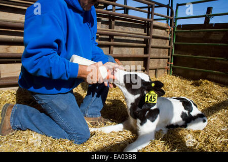 Kathy, Ag, Landwirtschaft, Bauernhof, Landwirtschaft, Landwirt Stockfoto