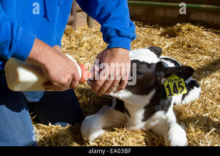 Kathy, Ag, Landwirtschaft, Bauernhof, Landwirtschaft, Landwirt Stockfoto