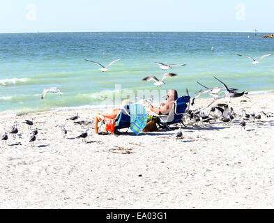 Sonnenbaden, älteres Paar auf umgeben von Seevögeln, die sie auf CocoaBeach Florida 10. Oktober 2014 gefüttert haben Stockfoto