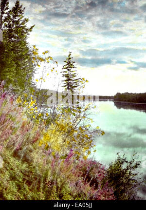 Blick auf North Saskatchewan River westlich von Glenbrook Farm (unter 15358789091 o Stockfoto