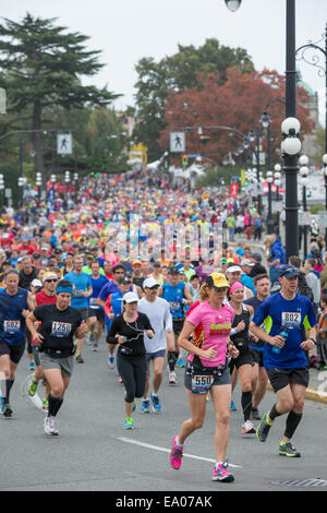 Victoria, Britisch-Kolumbien, Kanada, 12. Oktober 2014.  Athleten aus der ganzen Welt konkurrierten in der Victoria-Marathon Stockfoto