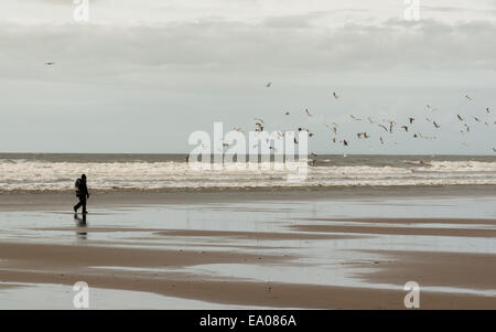 Eine einsame Gestalt geht an einem Strand in der Nähe von Llangennith, Gower Halbinsel Süd Walles. VEREINIGTES KÖNIGREICH. Stockfoto