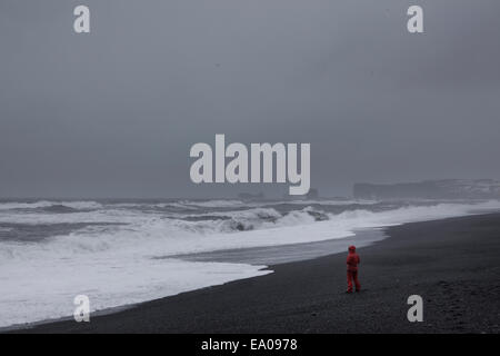 Mann am Strand, Vik, Island Stockfoto