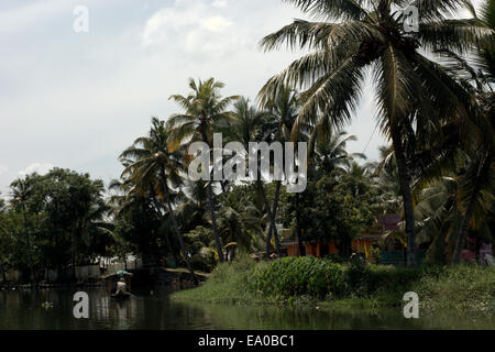 Die Backwaters von Allepey, Kerala, Indien, Südasien. Stockfoto