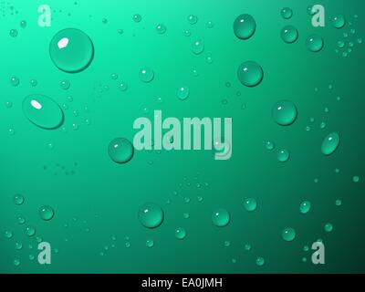 Vektor Wassertropfen auf grünem Hintergrund illustration Stock Vektor