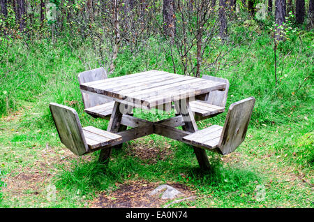 Tabelle im Wald am Rastplatz Stockfoto