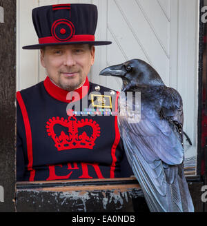 Rabe saß gerade ein Yeoman Warder am Tower of London, London, England, Europa. Stockfoto