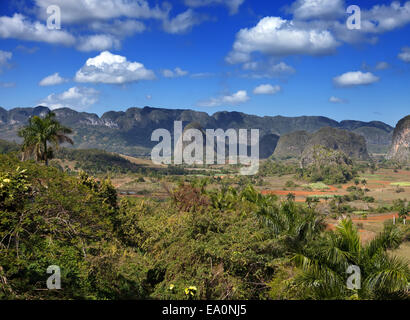 Kuba. Tropische Natur von Vinales Tal. Stockfoto