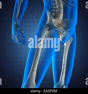 menschlichen Radiographie scan Stockfoto