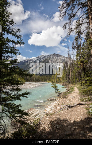 Kootenay-River in Kootenay National Park, Britisch-Kolumbien, Kanada, Nordamerika. Stockfoto