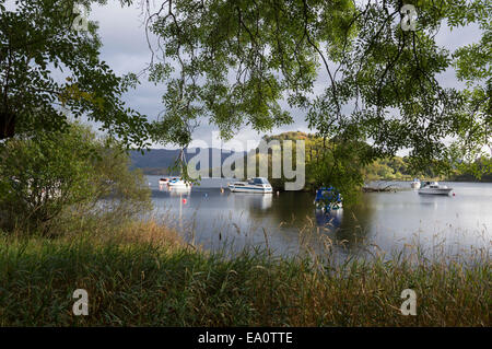Ersten Morgenlicht, Loch; Lomond; Trossachs; Nationalen; Park; Aldochlay, Insel, Inchtavannach, Boote, Schottland Stockfoto