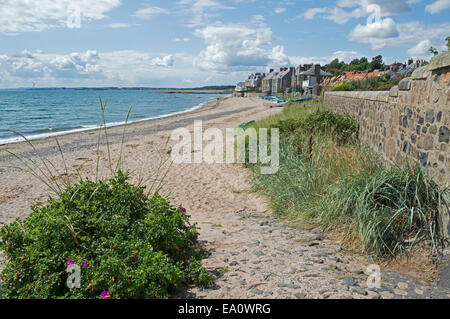 Senken Sie Largo, Küstenweg, Strand, Firth of Forth, Fife, Schottland, UK Stockfoto