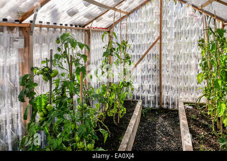 Pflanzen in einem Gewächshaus komplett aus recycelten Getränkeflaschen gefertigt. Stockfoto