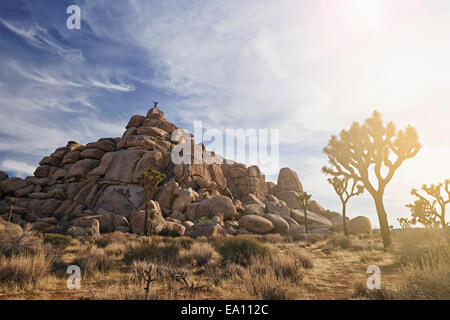 Joshua Tree Nationalpark, Kalifornien, USA Stockfoto