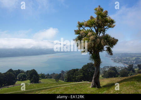 Panorama-Landschaft Otago Bay Dunedin Stockfoto