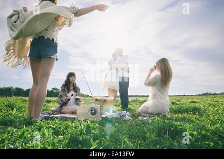 Fünf junge Erwachsene Freunde mit einem Picknick im Bereich Stockfoto