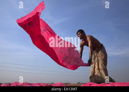 5. November 2014 - Narayangonj, Bangladesch - gefärbt ein Mann trocknen Tücher unter Sonne... Dorfbewohner in Bangladesch Hand gefärbte Kleidung Geschäfte zu machen. Kleinkredit nehmen sie sammeln, roh Tücher aus Fabrik, nachdem gefärbt sie unter Sonne getrocknet und dann verkaufen sie im Markt und sie sind jetzt stabil. (Kredit-Bild: © Zakir Hossain Chowdhury/ZUMA Draht) Stockfoto