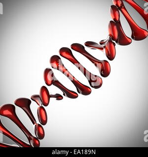 DNA-Modell auf grauem Hintergrund Stockfoto