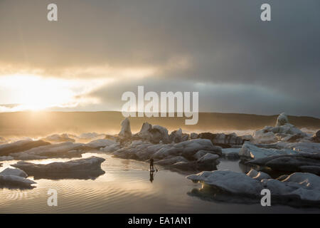 Mann auf Paddleboard, Jökulsárlón Gletscher Lagune, Skaftafell-Nationalpark, Island Stockfoto